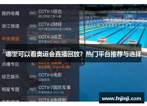 哪里可以看奥运会直播回放?热门平台推荐与选择 哪里可以看奥运会直播回放?热门平台推荐与选择